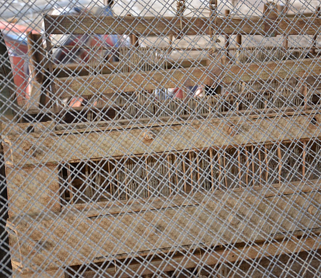 Construction Mesh